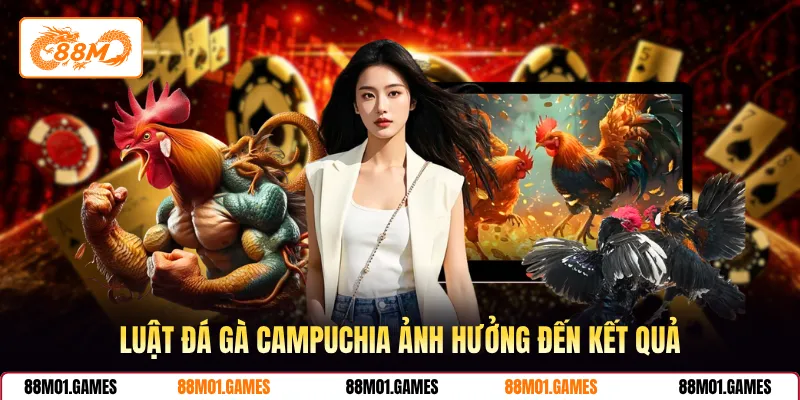 Luật đá gà Campuchia ảnh hưởng đến kết quả